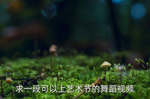 求一段可以上艺术节的舞蹈视频