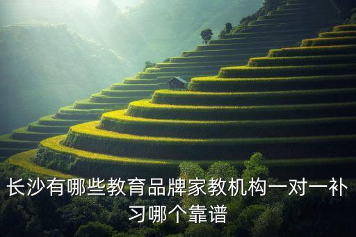 长沙有哪些教育品牌家教机构一对一补习哪个靠谱