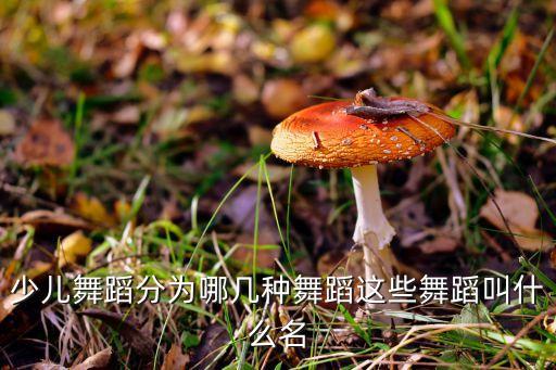 幼儿舞种都有哪些，少儿喜庆的舞蹈有哪些