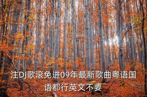 dj不要不要是什么歌曲，找一首歌曲我听到的是DJ版的中间这样唱不要不要对我说