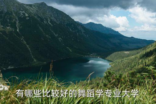 有关舞蹈专业的学校有哪些，哪些985大学里有舞蹈专业