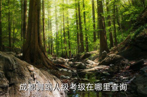 成都舞蹈八级考级在哪里查询