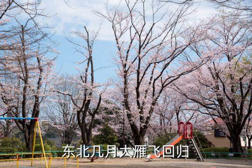 东北几月大雁飞回归