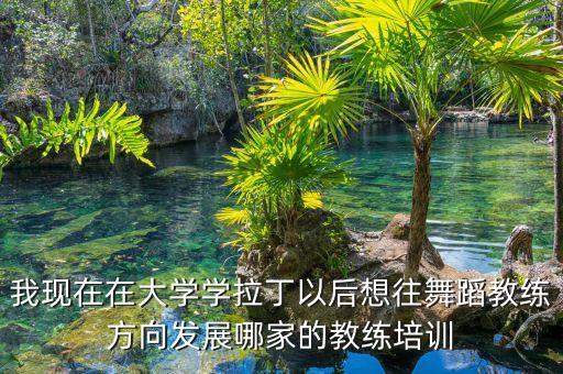 我现在在大学学拉丁以后想往舞蹈教练方向发展哪家的教练培训