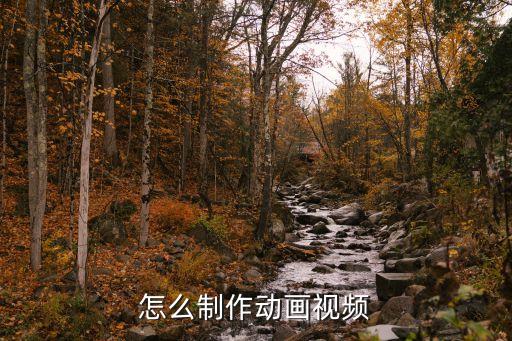 怎么制作动画视频