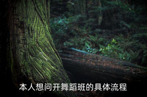 本人想问开舞蹈班的具体流程