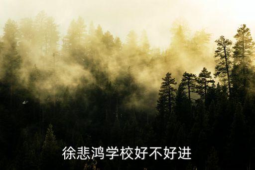 北京徐悲鸿美术学校，叶青视觉艺术和徐悲鸿艺术教育中心哪家好