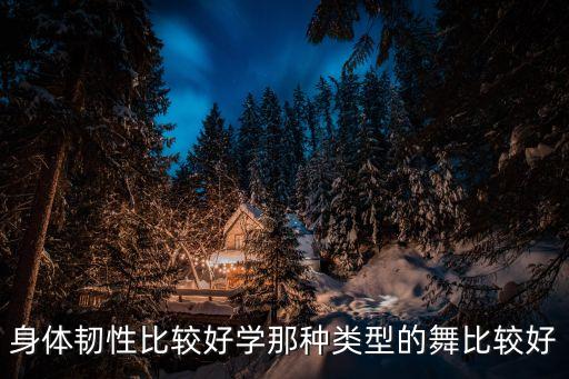身体韧性比较好学那种类型的舞比较好