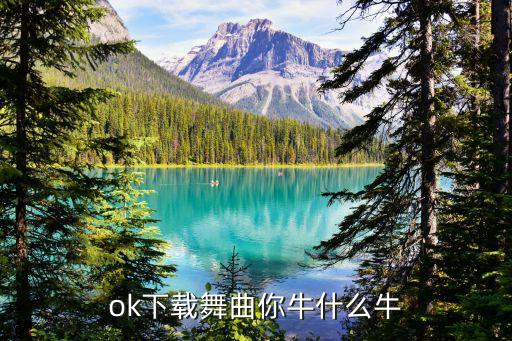 幸福广场舞你牛什么牛，广场舞你牛甚么牛mp3
