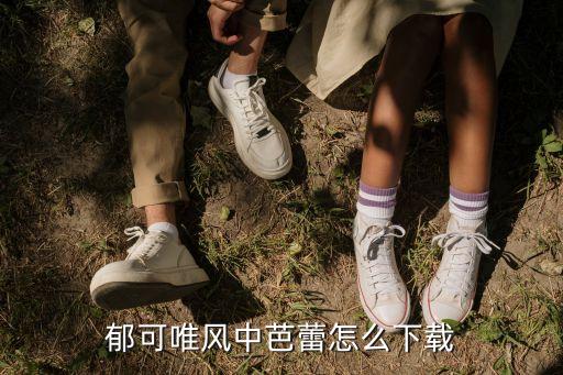 怎么下载风中月舞蹈，郁可唯风中芭蕾怎么下载