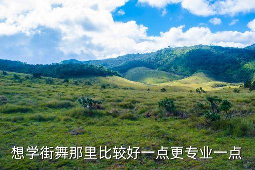 想学街舞那里比较好一点更专业一点