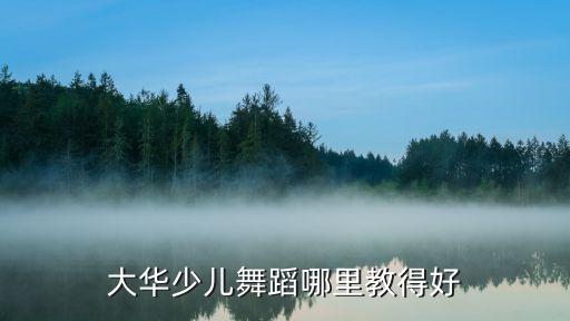 大华少儿舞蹈哪里教得好