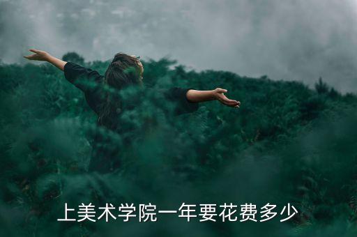 上美术学院一年要花费多少