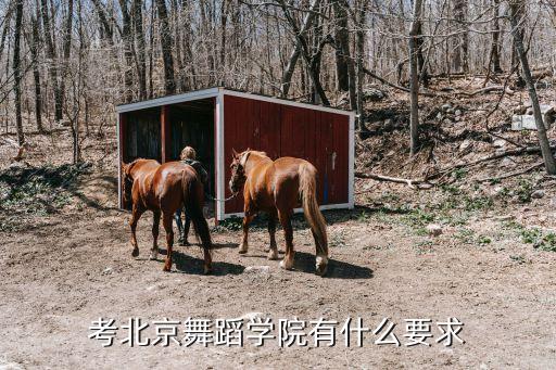 考北京舞蹈学院有什么要求
