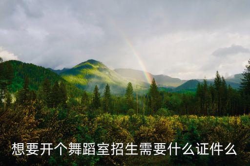 想要开个舞蹈室招生需要什么证件么