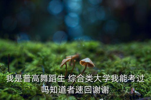我是普高舞蹈生 综合类大学我能考过吗知道者速回谢谢