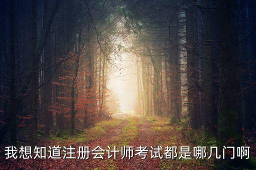 注册会计师考试科目，我想知道注册会计师考试都是哪几门啊