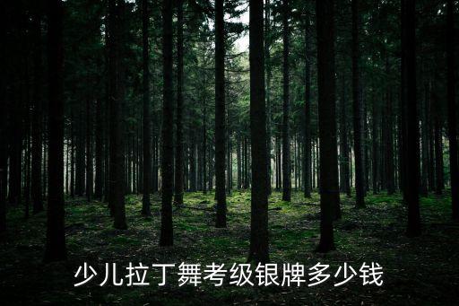 少儿拉丁舞考级银牌多少钱
