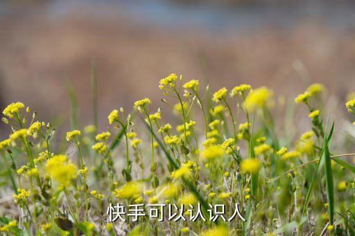 快手可以认识人