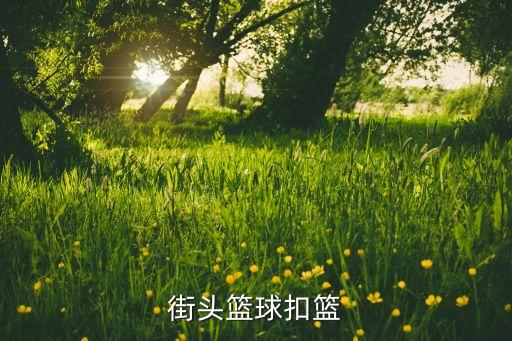 街头篮球扣篮