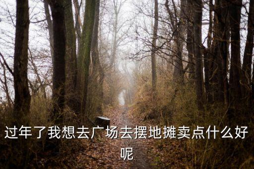 过年了我想去广场去摆地摊卖点什么好呢