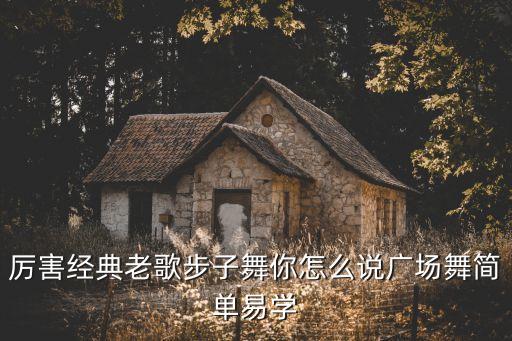 厉害经典老歌步子舞你怎么说广场舞简单易学