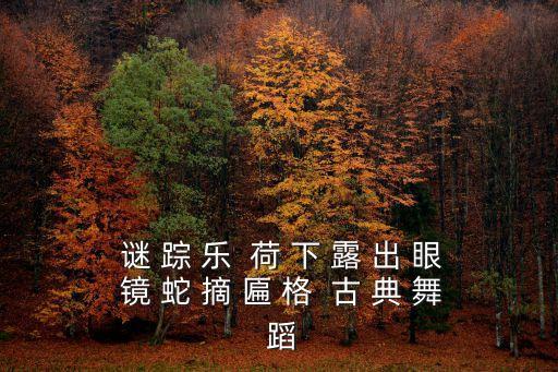  谜 踪 乐  荷 下 露 出 眼 镜 蛇 摘 匾 格  古 典 舞 蹈