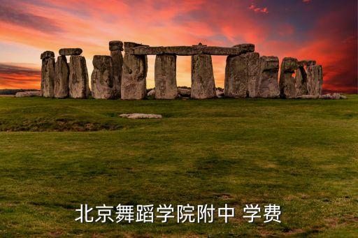 考北舞附中需要多少钱，考北舞花多少钱