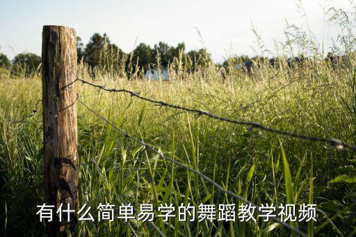 有什么简单易学的舞蹈教学视频