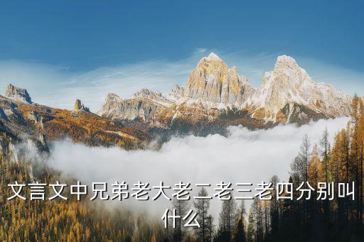 文言文中兄弟老大老二老三老四分别叫什么