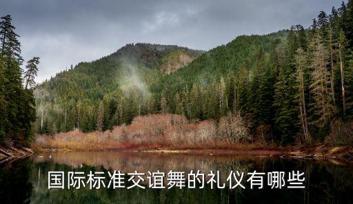 国际标准交谊舞的礼仪有哪些