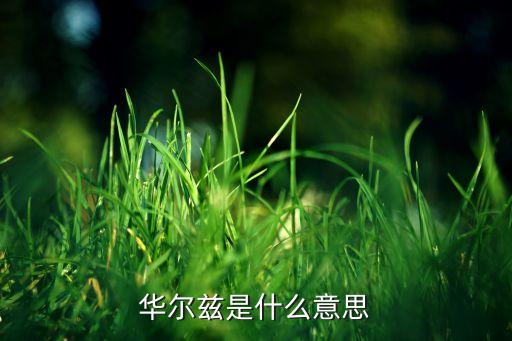 什么是向侧华尔兹，什么是华尔兹