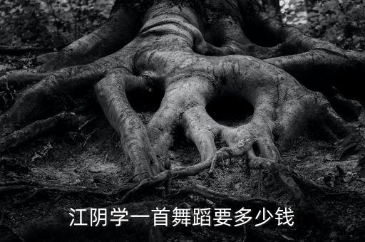 学中国舞需要多少钱，学音乐舞蹈要多少钱