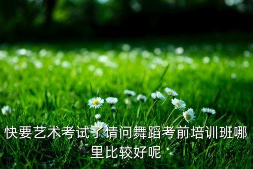 快要艺术考试了请问舞蹈考前培训班哪里比较好呢