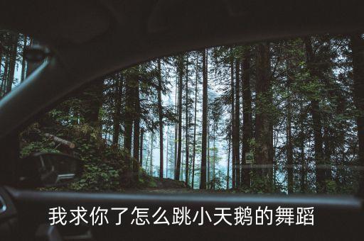 小天鹅舞蹈视频教程二级，大家一起帮帮我