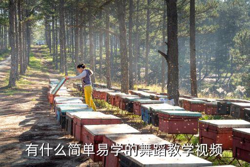 有什么简单易学的舞蹈教学视频