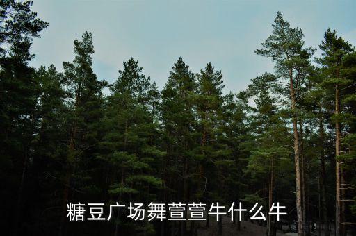 糖豆广场舞萱萱牛什么牛