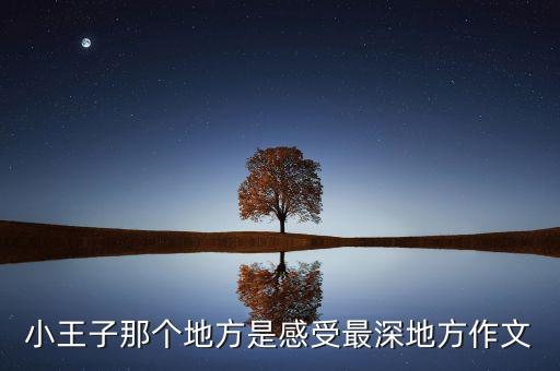 我最爱在哪里王子广场，棒棒堂六个男孩中你最喜欢哪一个