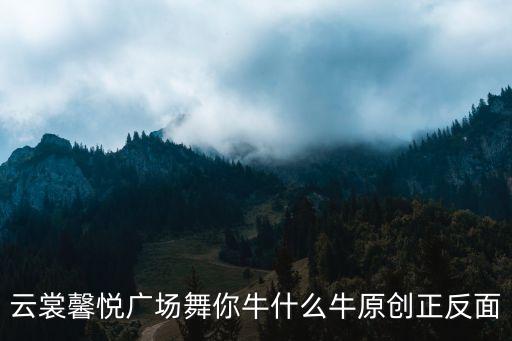 云裳馨悦广场舞你牛什么牛原创正反面