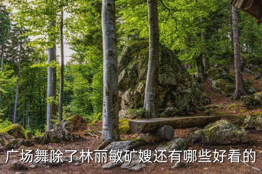 广场舞除了林丽敏矿嫂还有哪些好看的