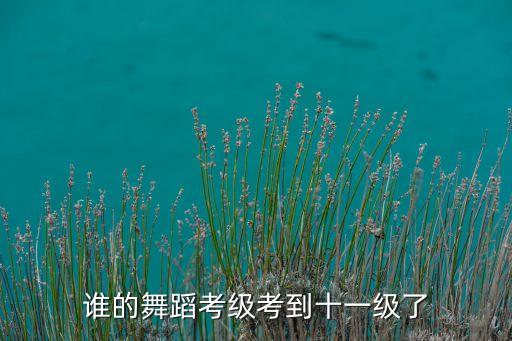 谁的舞蹈考级考到十一级了