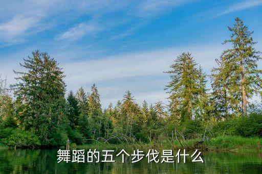 舞蹈一字步是什么意思，舞蹈的五个步伐是什么