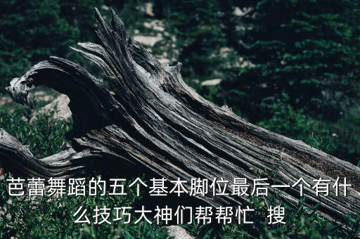 芭蕾舞蹈的五个基本脚位最后一个有什么技巧大神们帮帮忙  搜