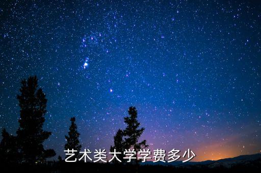 艺术类大学学费多少