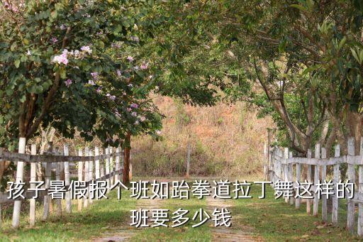 孩子暑假报个班如跆拳道拉丁舞这样的班要多少钱