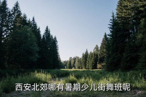 西安哪里有少儿街舞，西安少儿街舞哪里最专业对艺术机构失望了