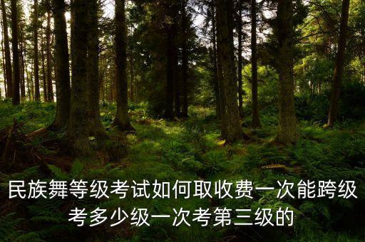 民族舞等级考试如何取收费一次能跨级考多少级一次考第三级的