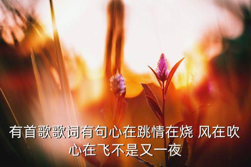心在烧情在跳是什么歌，歌词里有心在跳情在烧 不是谢军的歌 那是什么歌