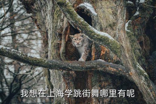 我想在上海学跳街舞哪里有呢