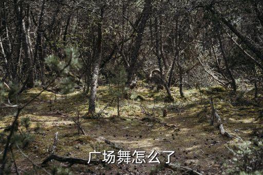 广场舞怎么了